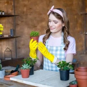 Meet your Posher, Suprenant